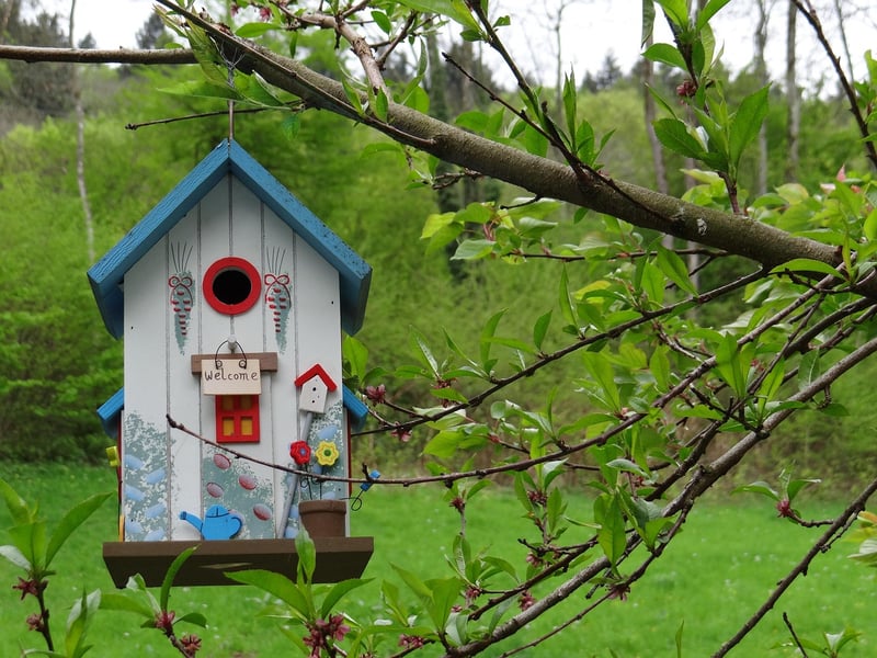 Treehouse